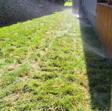 333528246_223504003495707_5777467080242108553_n