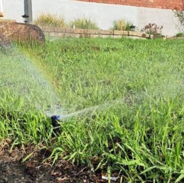 335150960_3477814865817166_6174174931845252845_n